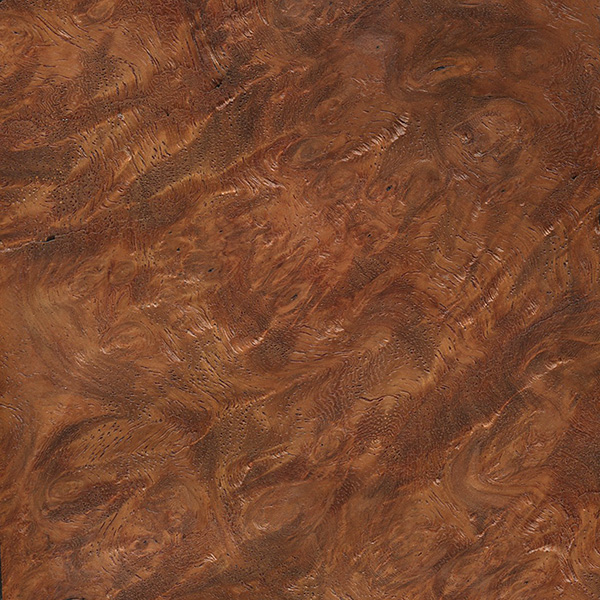 A square piece of Amboyna burl veneer.